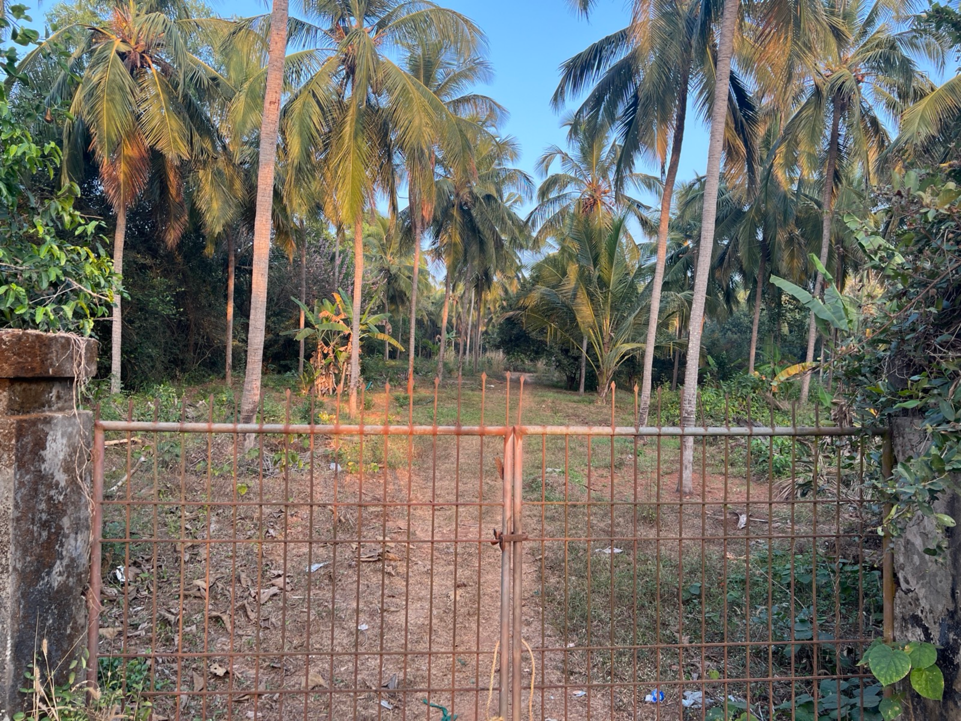 Kojakulli compounded gate