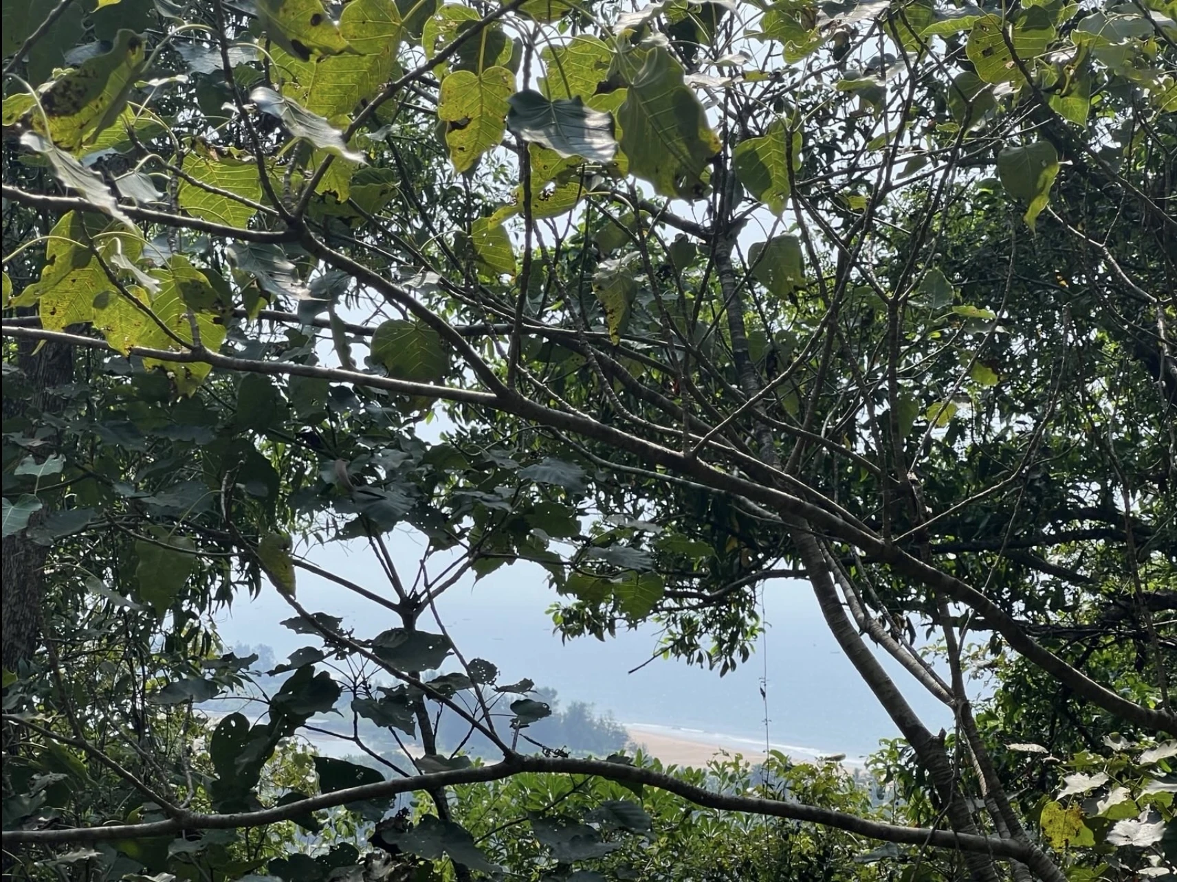 3.5-Acre Seaside Cliff